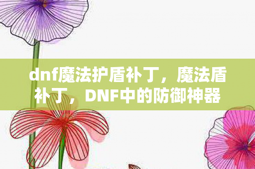 dnf魔法护盾补丁，魔法盾补丁，DNF中的防御神器
