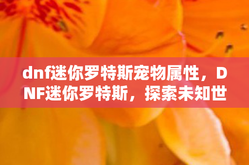 dnf迷你罗特斯宠物属性，DNF迷你罗特斯，探索未知世界的奇妙冒险
