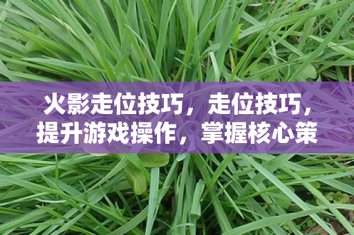 火影走位技巧，走位技巧，提升游戏操作，掌握核心策略
