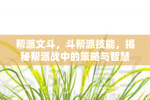 帮派文斗，斗帮派技能，揭秘帮派战中的策略与智慧