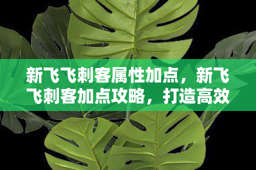 新飞飞刺客属性加点，新飞飞刺客加点攻略，打造高效战斗力的关键