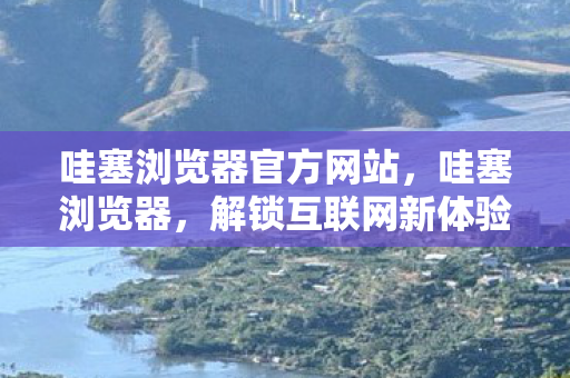 哇塞浏览器官方网站，哇塞浏览器，解锁互联网新体验