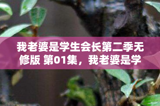 我老婆是学生会长第二季无修版 第01集，我老婆是学生会长第二季无修，青春与权力的交织