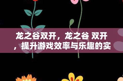 龙之谷双开，龙之谷 双开，提升游戏效率与乐趣的实用指南