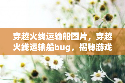 穿越火线运输船图片，穿越火线运输船bug，揭秘游戏内的意外之旅