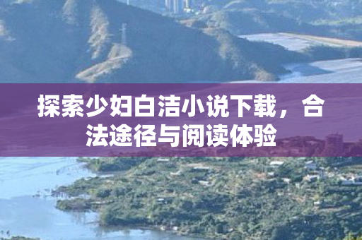 探索少妇白洁小说下载，合法途径与阅读体验