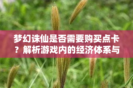 梦幻诛仙是否需要购买点卡？解析游戏内的经济体系与消费模式