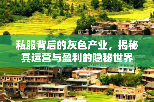 私服背后的灰色产业，揭秘其运营与盈利的隐秘世界