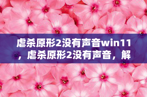 虐杀原形2没有声音win11，虐杀原形2没有声音，解决游戏音频问题的全面指南