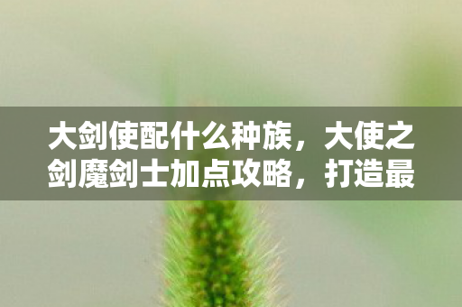 大剑使配什么种族，大使之剑魔剑士加点攻略，打造最强战斗力的关键