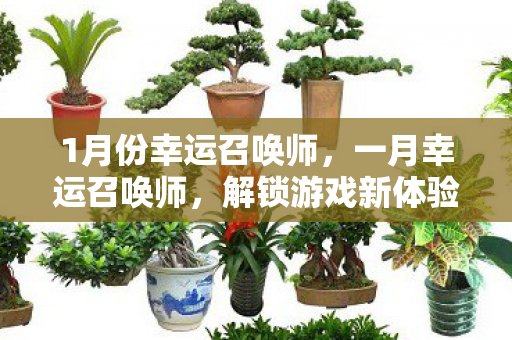 1月份幸运召唤师，一月幸运召唤师，解锁游戏新体验，畅享无限可能
