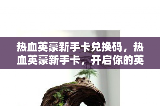 热血英豪新手卡兑换码，热血英豪新手卡，开启你的英雄之旅