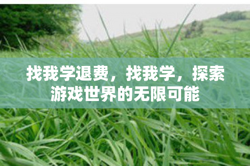 找我学退费，找我学，探索游戏世界的无限可能