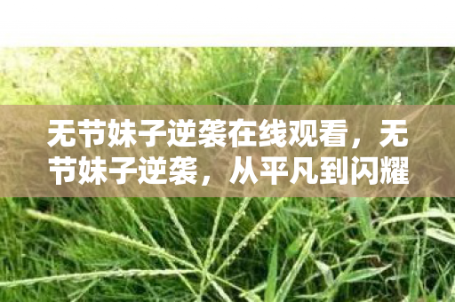 无节妹子逆袭在线观看，无节妹子逆袭，从平凡到闪耀的蜕变之路