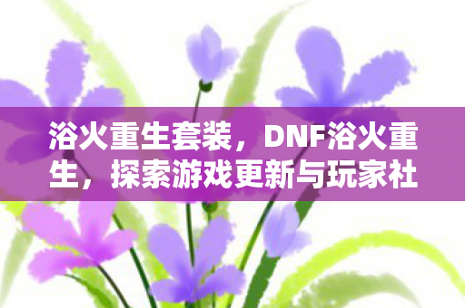浴火重生套装，DNF浴火重生，探索游戏更新与玩家社区的变迁