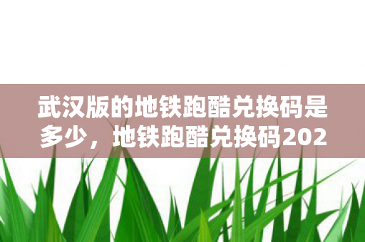 武汉版的地铁跑酷兑换码是多少，地铁跑酷兑换码2022武汉，解锁城市特色，畅游江城新风貌