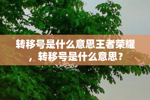 转移号是什么意思王者荣耀，转移号是什么意思？