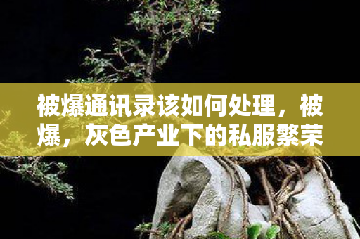 被爆通讯录该如何处理，被爆，灰色产业下的私服繁荣