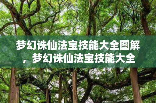 梦幻诛仙法宝技能大全图解，梦幻诛仙法宝技能大全