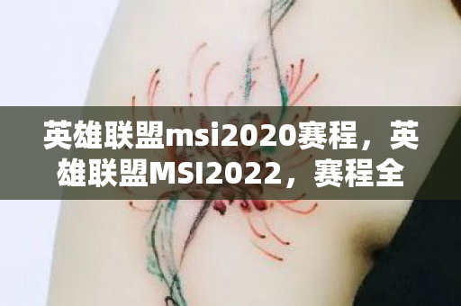 英雄联盟msi2020赛程，英雄联盟MSI2022，赛程全解析与看点前瞻