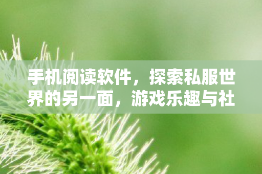 手机阅读软件，探索私服世界的另一面，游戏乐趣与社区文化的交织