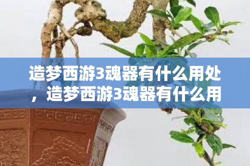 造梦西游3魂器有什么用处，造梦西游3魂器有什么用