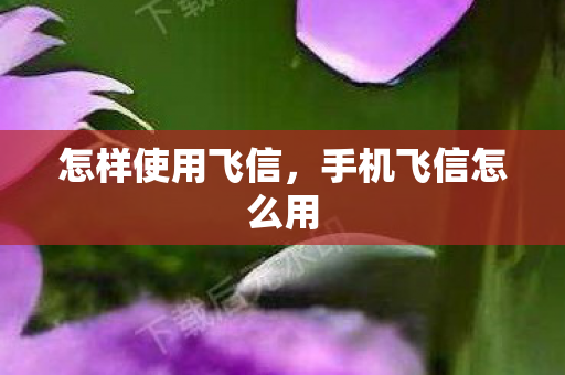 怎样使用飞信，手机飞信怎么用