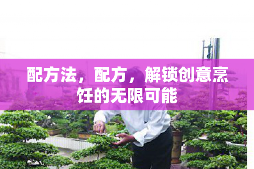 配方法，配方，解锁创意烹饪的无限可能