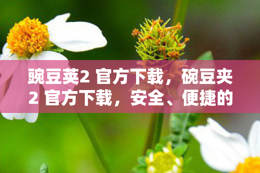 豌豆荚2 官方下载，碗豆夹2 官方下载，安全、便捷的游戏体验