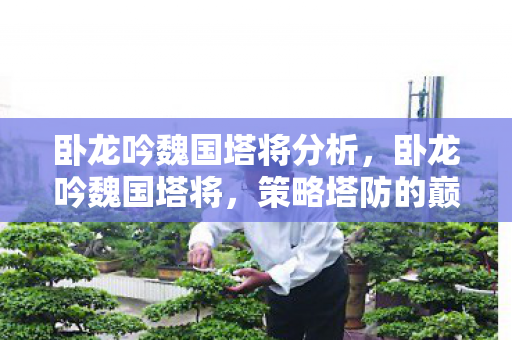 卧龙吟魏国塔将分析，卧龙吟魏国塔将，策略塔防的巅峰之作