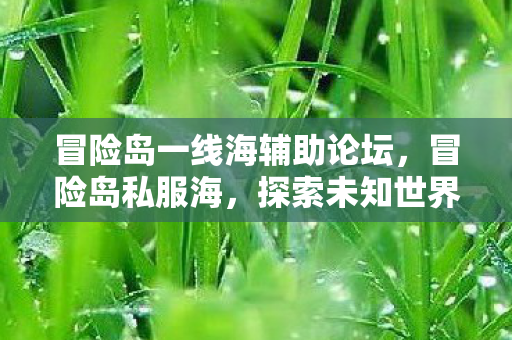 冒险岛一线海辅助论坛，冒险岛私服海，探索未知世界的奇妙之旅