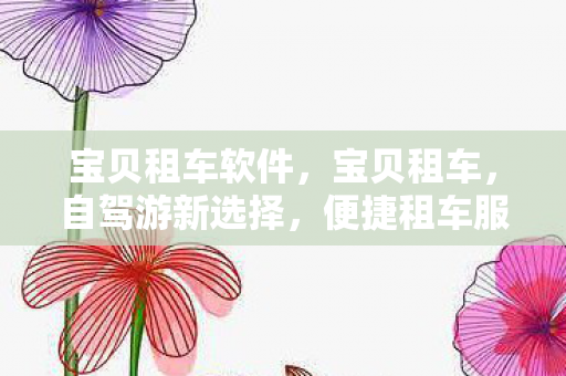 宝贝租车软件，宝贝租车，自驾游新选择，便捷租车服务引领潮流