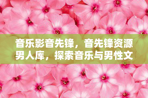 音乐影音先锋，音先锋资源男人库，探索音乐与男性文化的交汇点