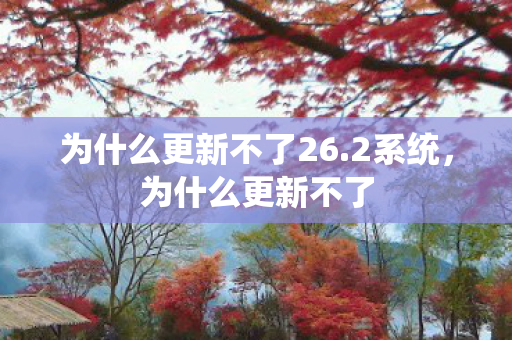 为什么更新不了26.2系统，为什么更新不了