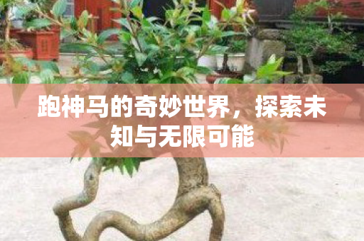 跑神马的奇妙世界，探索未知与无限可能