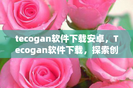 tecogan软件下载安卓，Tecogan软件下载，探索创意设计的无限可能
