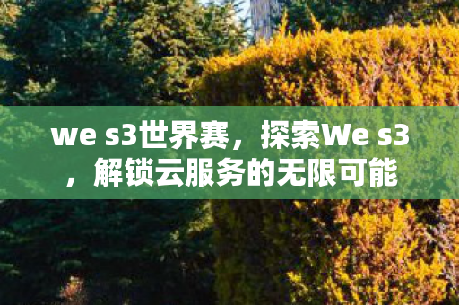we s3世界赛，探索We s3，解锁云服务的无限可能
