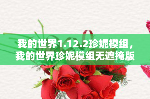 我的世界1.12.2珍妮模组，我的世界珍妮模组无遮掩版，探索虚拟世界的奇妙之旅