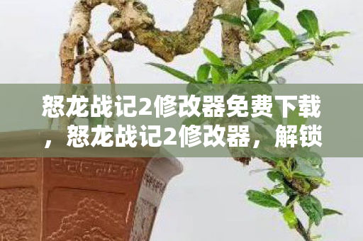 怒龙战记2修改器免费下载，怒龙战记2修改器，解锁无限可能的冒险之旅