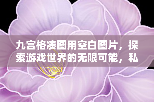 九宫格凑图用空白图片，探索游戏世界的无限可能，私服与官方服务器的独特魅力