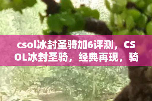 csol冰封圣骑加6评测，CSOL冰封圣骑，经典再现，骑士的荣耀