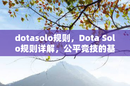 dotasolo规则，Dota Solo规则详解，公平竞技的基石