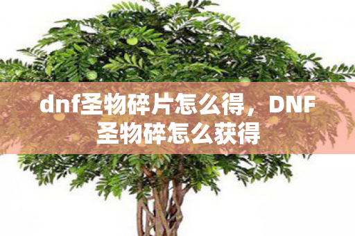 dnf圣物碎片怎么得，DNF圣物碎怎么获得