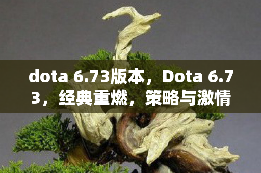 dota 6.73版本，Dota 6.73，经典重燃，策略与激情的碰撞
