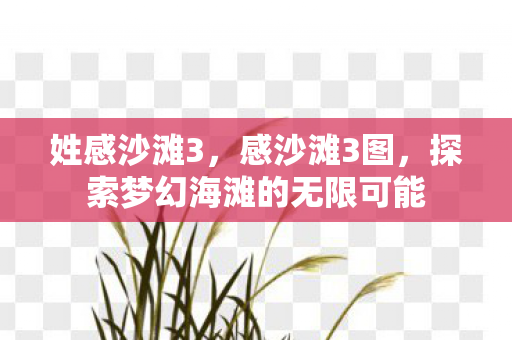姓感沙滩3，感沙滩3图，探索梦幻海滩的无限可能
