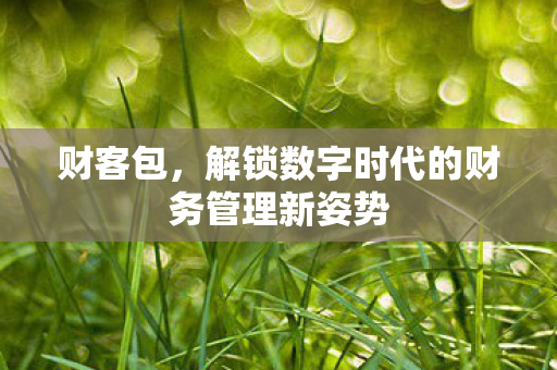 财客包，解锁数字时代的财务管理新姿势