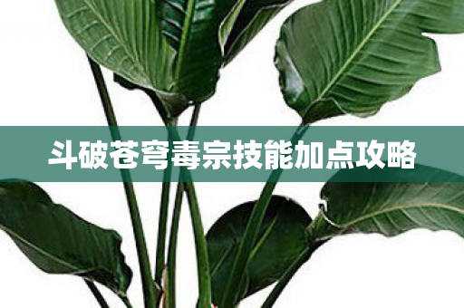 斗破苍穹毒宗技能加点攻略
