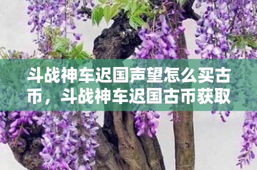 斗战神车迟国声望怎么买古币，斗战神车迟国古币获取攻略