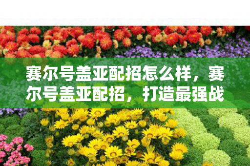 赛尔号盖亚配招怎么样，赛尔号盖亚配招，打造最强战斗阵容