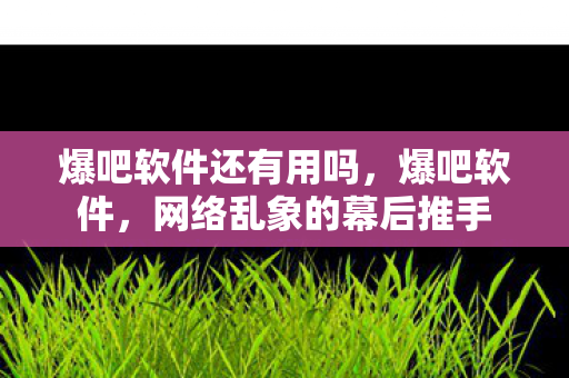 爆吧软件还有用吗，爆吧软件，网络乱象的幕后推手